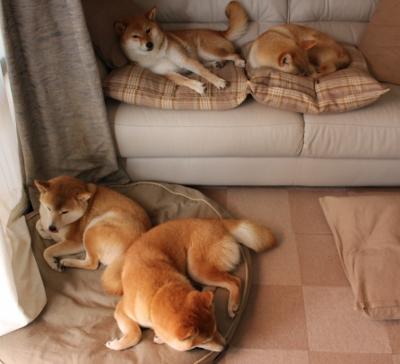 爱游戏体育APP下载-惊险对决！球队临危不乱准备应对挑战