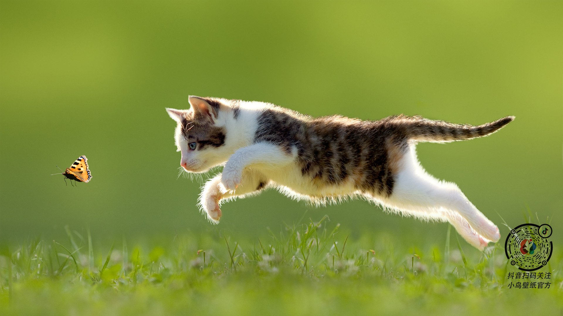 莎拉·查里在跆拳道-67公斤级比赛中获得铜牌,莎拉·查托