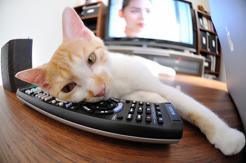 NBA球员训练疲劳监控与心率变化研究,nba运动员心率