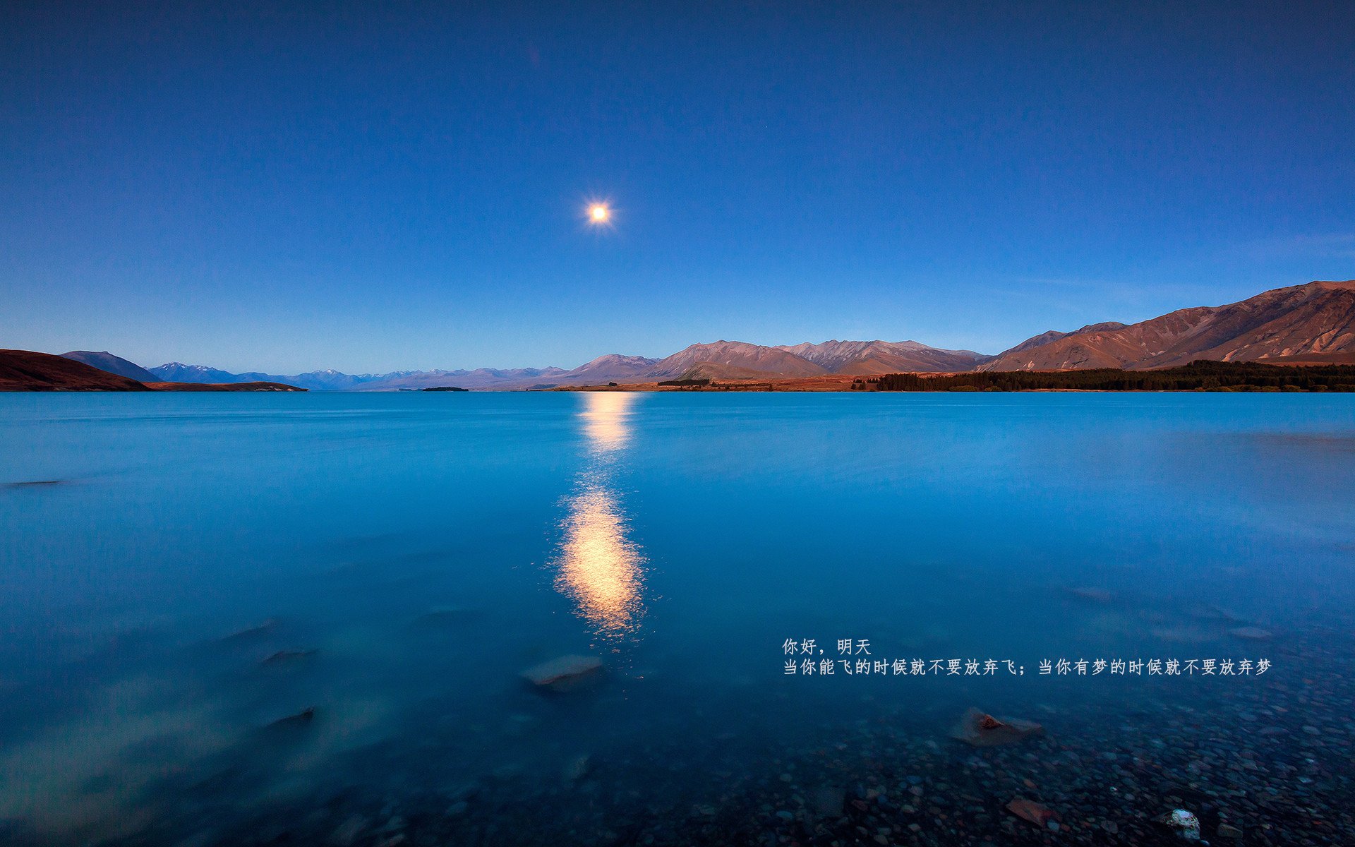 体育教育专业学生实践能力提升机制研究,体育工作能力实训实践总结报告