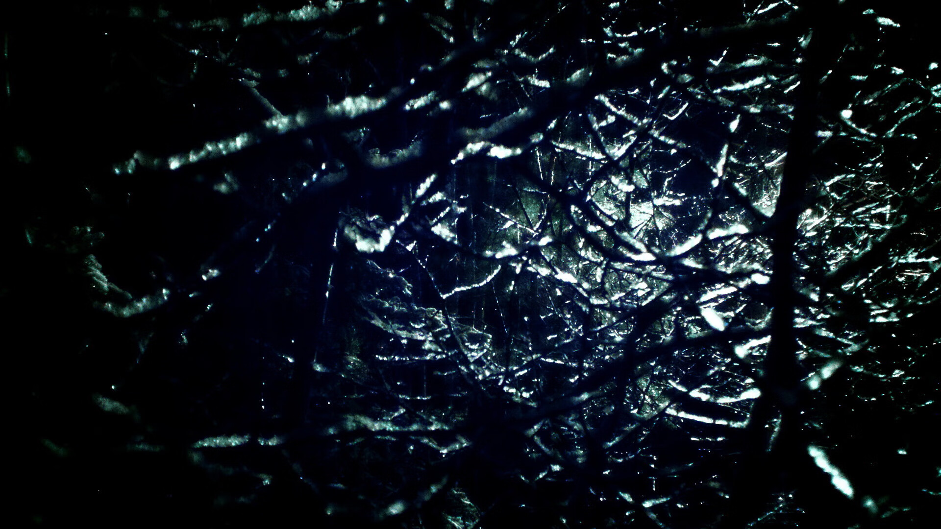 CBA青年联赛人才辈出 各队积极招揽,cba青年队选拔