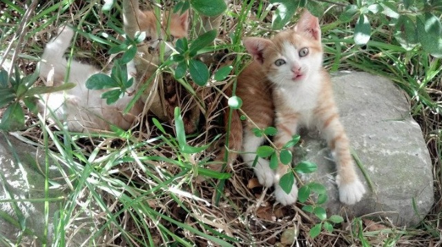 “举重盛宴:2025世界运动会高新体育中心上演力量巅峰较量”