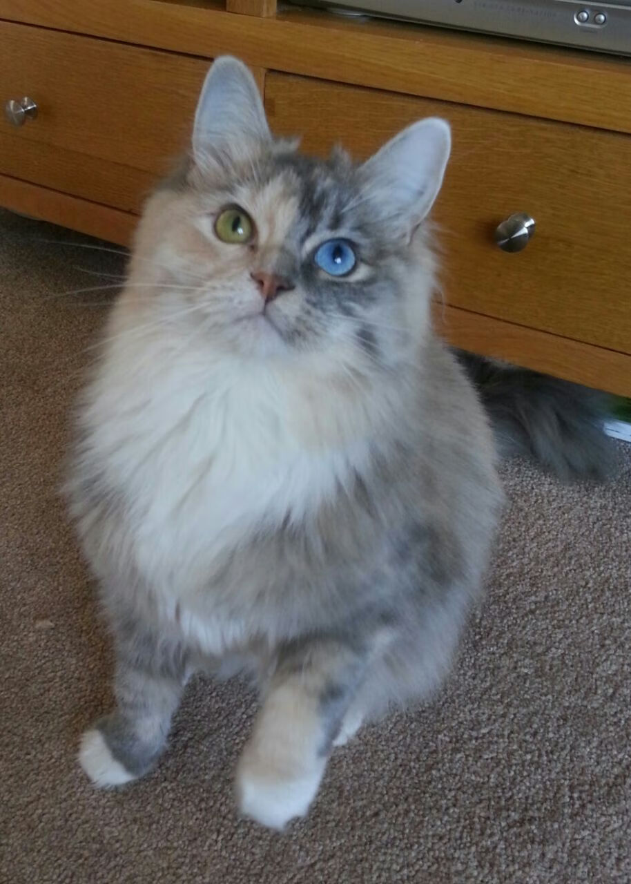 “简阳文体中心篮球赛事:团队配合与个人魅力的完美融合”