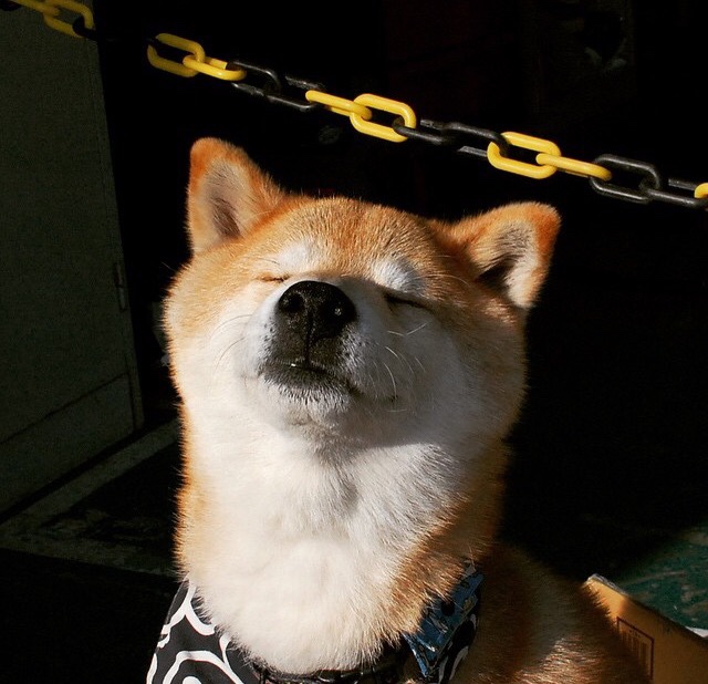 中国三人女篮加强快攻训练 提升得分效率,中国三人女篮规则