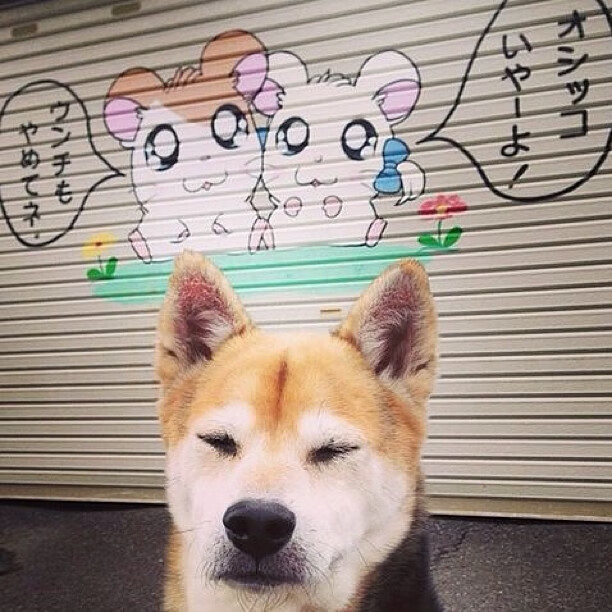 艾尔切多点开火提升锋线效率,艾尔切队