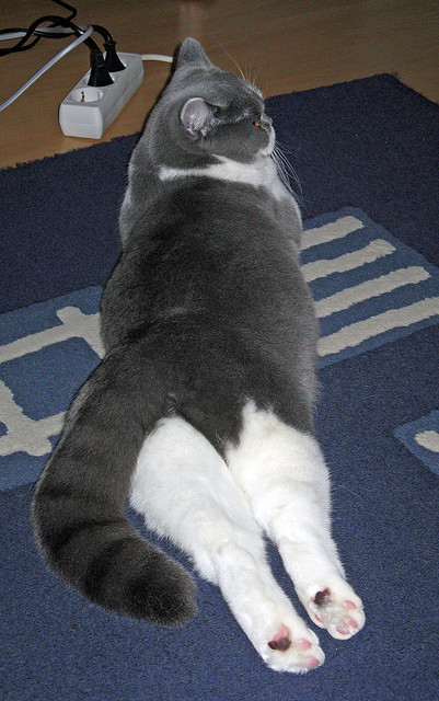 爱游戏体育app-世界杯经典战役：每一场都值得铭记！，世界杯历史最经典战役