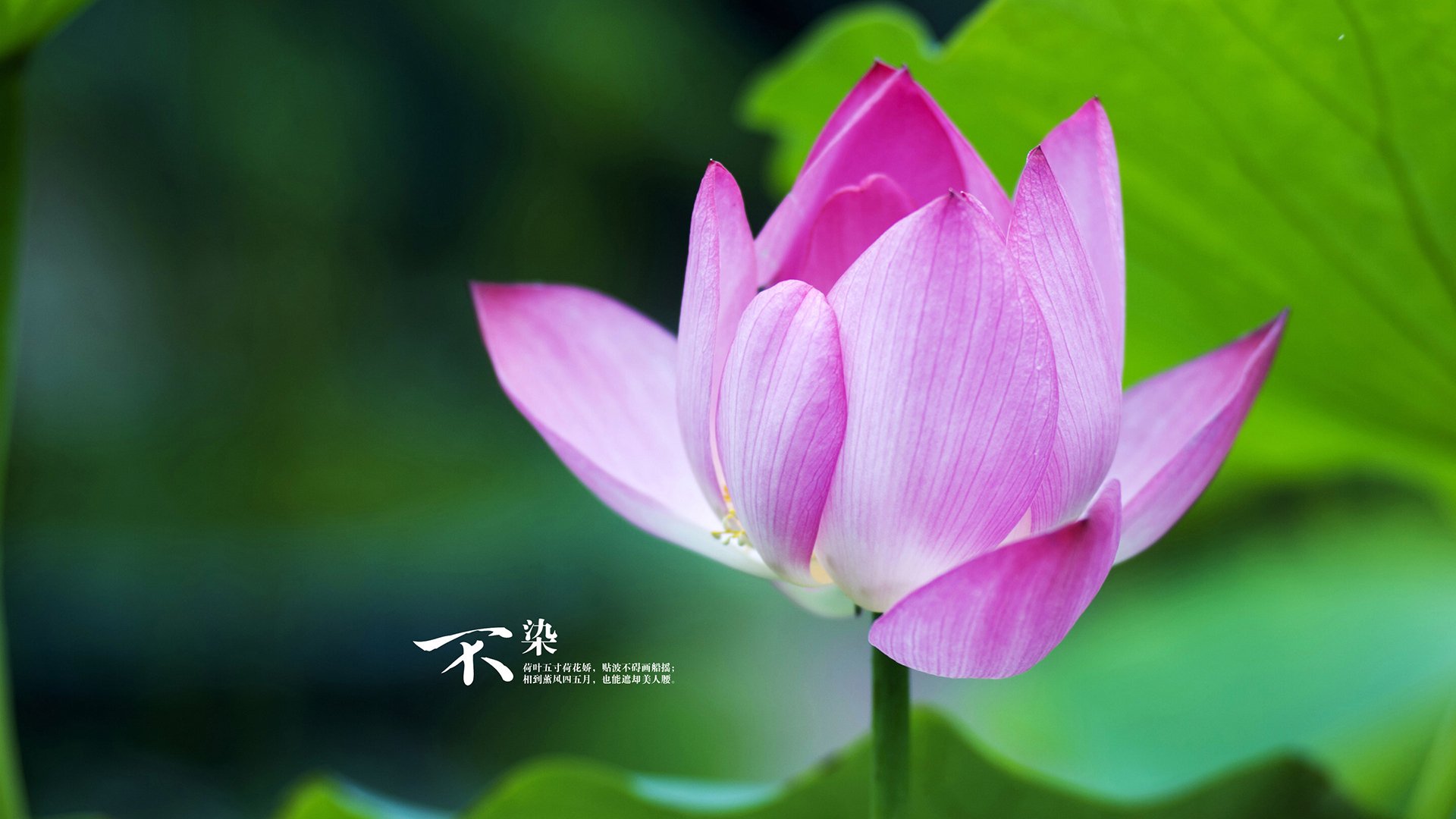 爱游戏-中国足球青少年技术训练专项课程全面推广，中国青少年足球选拔机制