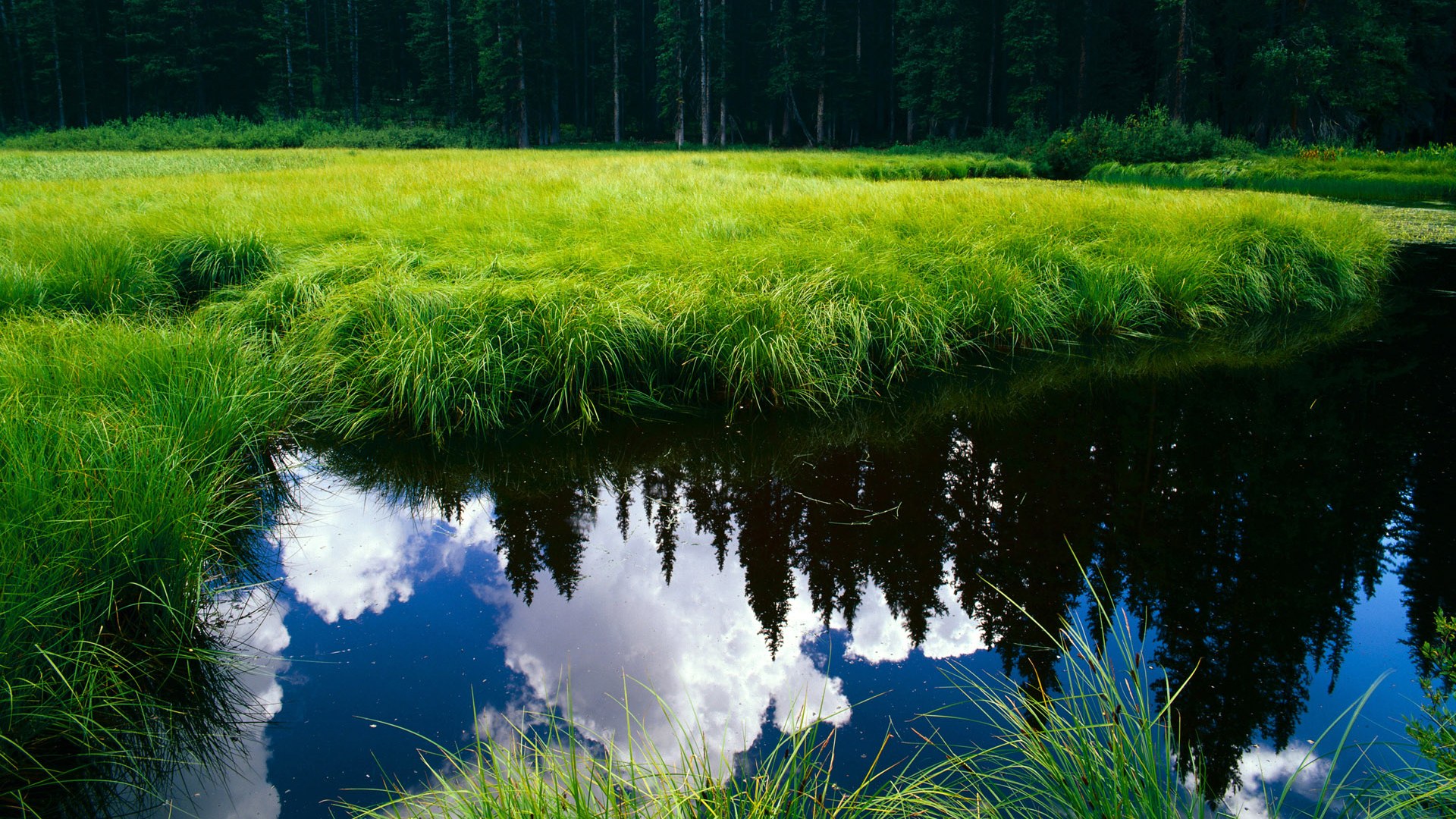 卢卡·乌兰多决赛节奏稳健,卢兰比赛视频